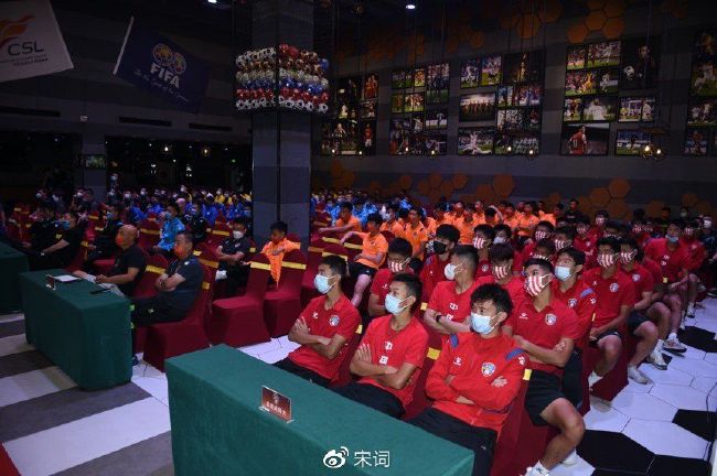 林茵是什么小说
