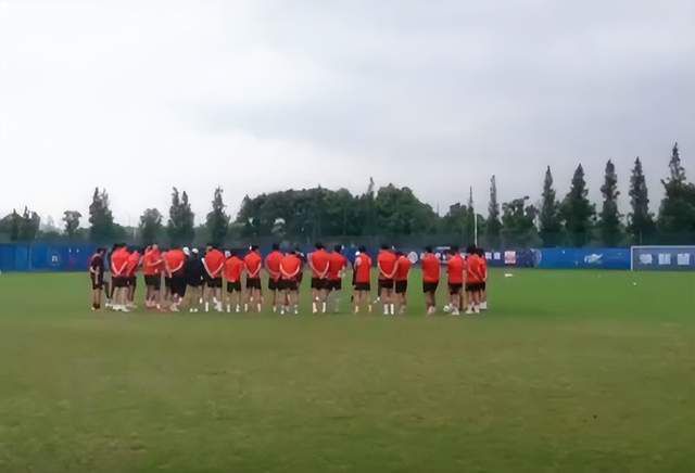 林茵是什么小说